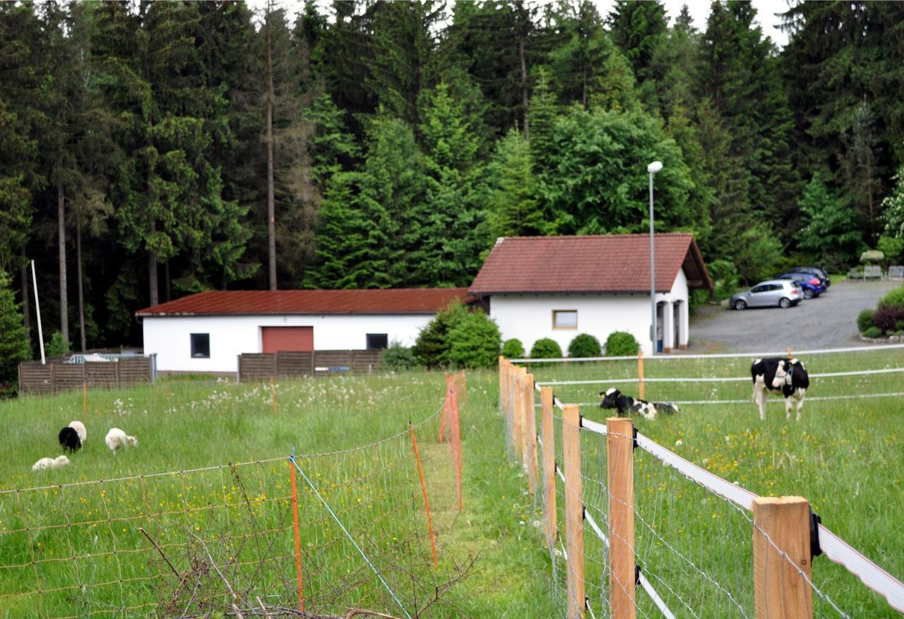 Ferienhaus Mueller Warmensteinach Esterno foto