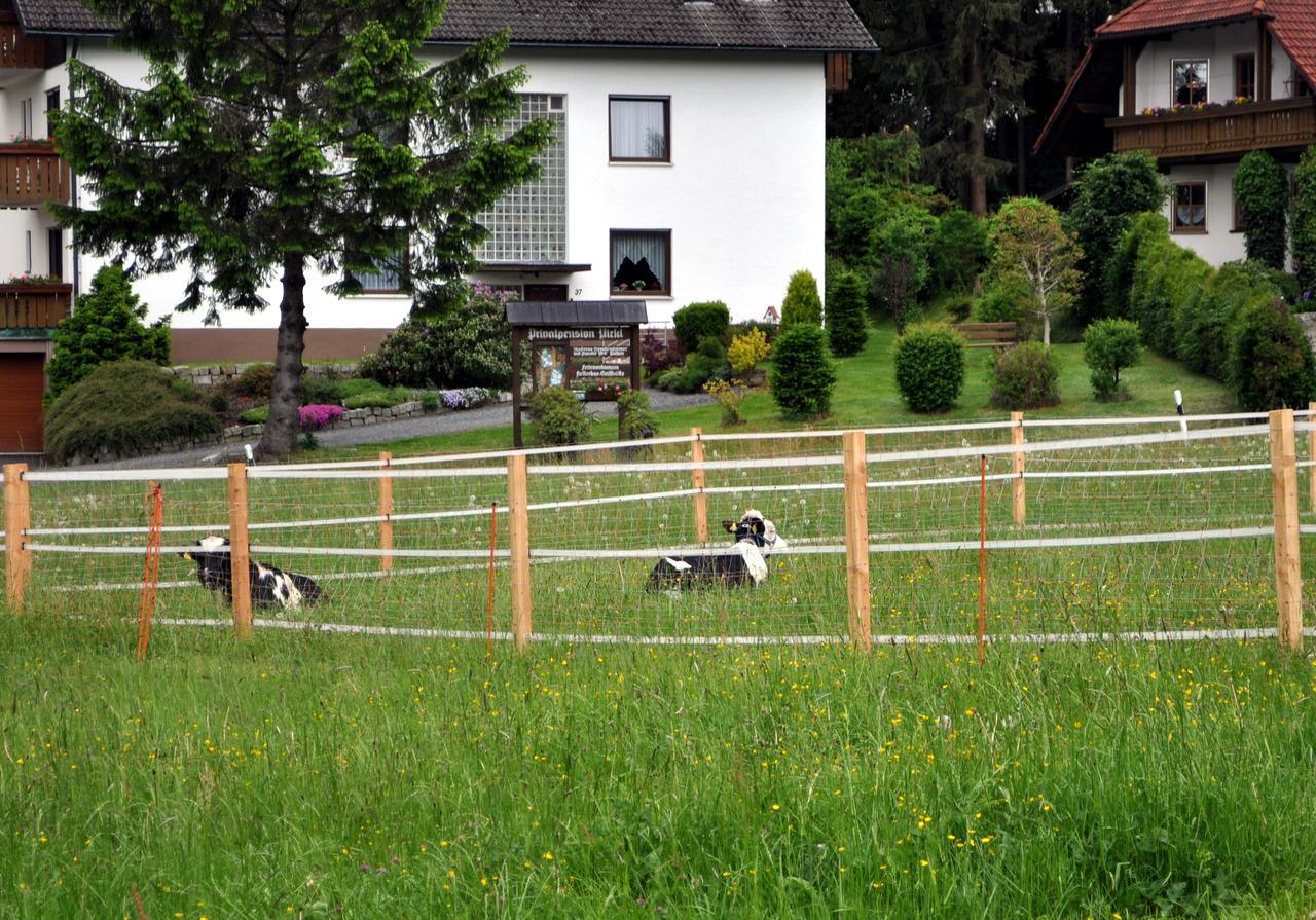 Ferienhaus Mueller Warmensteinach Esterno foto